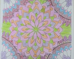 어르신 활동 사진