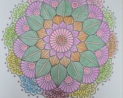 어르신 활동 사진