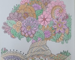 어르신 활동 사진