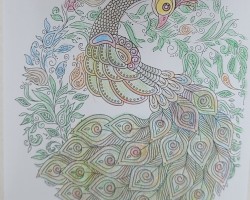 어르신 활동 사진