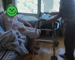 동부케어복지센터