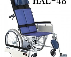 HAL 48